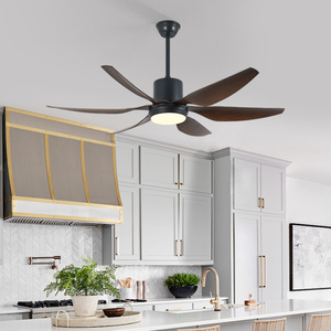 Ventilador de Techo Moderno HSG Modelo 801 de 66 Pulgadas con Luz y Control Remoto, Material Plástico para Uso Doméstico, Color Blanco - Product Image 6