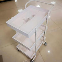 Chariot de rangement mobile à 3 niveaux pour salon de beauté, en métal et PP, avec roulettes silencieuses