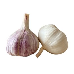 Jining <span class=keywords><strong>Ail</strong></span> Frais Nature Garlic10kg/carton Lâchement 5.5cm Exportation <span class=keywords><strong>Afrique</strong></span>, Amérique <span class=keywords><strong>du</strong></span> <span class=keywords><strong>Sud</strong></span>, Moyen-Orient - Product Image 1