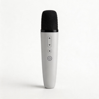 Microphone de voiture sans fil pour système Byd Ev Dilink, transmission UHF, 4 effets sonores, portable, pour divertissement en voiture