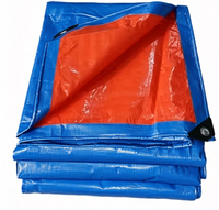 Bâche en PE imperméable, toile de protection contre la pluie, voile d'ombrage pour jardin, extérieur, camion, bateau, agriculture, poulailler