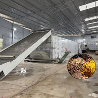 Machine de séchage automatique à bande transporteuse pour épices, déshydrateur à bande transporteuse pour curcuma, machine de séchage à bande transporteuse pour anis étoilé