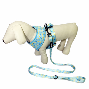 Set Personalizzato per Cani con Pettorina, Dispenser per Sacchetti Igienici, Bandana, Guinzaglio Regolabile e Collare - Product Image 6