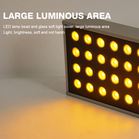 Projecteur LED COB de haute qualité IP66 18W/24W/36W/48W/50W pour l'éclairage extérieur architectural et paysager, CRI élevé 90, garantie de 3 ans