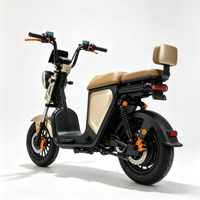 Scooter électrique vintage à deux places, batterie amovible 48V, frein à disque avant, vélo électrique pour adultes, idéal pour les trajets en ville