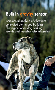 Collar Antiladridos Inteligente con Sensor <span class=keywords><strong>de</strong></span> Gravedad <span class=keywords><strong>para</strong></span> <span class=keywords><strong>Perros</strong></span>, Collar <span class=keywords><strong>de</strong></span> Entrenamiento sin Descargas, Resistente al Agua IPX7, Recargable, Control <span class=keywords><strong>de</strong></span> Ladridos Humano - Product Image 2