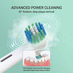 Spazzolino Elettrico Rotante alla Moda con Testina di <span class=keywords><strong>Ricambio</strong></span> in Nylon Dupont Tynex, Marchio <span class=keywords><strong>Oral</strong></span>, <span class=keywords><strong>Testine</strong></span> SA17 - Product Image 5