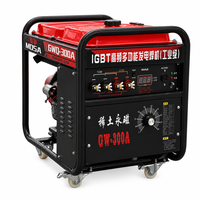 Pasokan Pabrik AC220V 5KW 300A IGBT Generator Las Busur Logam Manual Diesel Multifungsi Frekuensi Tinggi