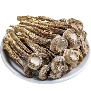 Sale High Quality Dry Deer Mushroom Dried Velvet Mushroom