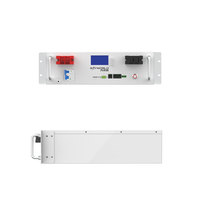 Harga Pabrik Rayworld 51.2V 100Ah LiFePO4 Baterai Penyimpanan Energi Rumah Cadangan yang Dipasang di Rak 4500 Siklus