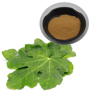 Китайский завод, Лидер продаж, экстракт листьев фигового дерева в порошке - Product Image 2
