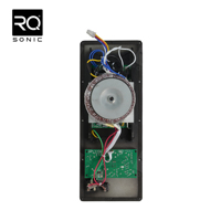 Carte amplificateur RQSONIC APB 450W Module amplificateur audio professionnel classe H pour haut-parleur actif