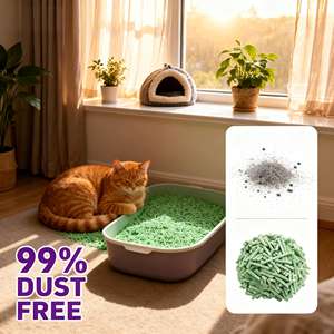 Bac à litière pour chat en tofu avec charbon actif, bois de pin biodégradable, écologique, jetable dans les toilettes, sans blocage - Product Image 1