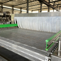 Tunnel de pasteurisation par pulvérisation à remplissage à chaud 4000*800 pour jus, lait, café, équipement de stérilisation de bouteilles PET