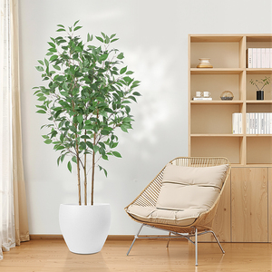 Eco-Friendly Grande Plástico Vasos Clássico Cilindro Berçário Jardim Indoor <span class=keywords><strong>Home</strong></span> <span class=keywords><strong>Decor</strong></span> Flores Plantadores Vasos Flor - Product Image 5