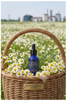 Huile essentielle de camomille romaine naturelle en vrac pour les produits de beauté, les soins de la peau, les soins personnels, l'aromathérapie et les parfums
