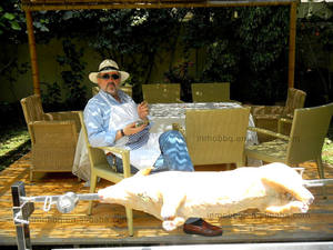 Broche à agneau de qualité supérieure en acier inoxydable 304 avec moteur robuste - Product Image 2