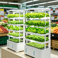 Équipement de plantation verticale intérieure, système hydroponique automatique pour la culture intérieure de bleuets, de laitues et d'herbes aromatiques avec nutriments gratuits