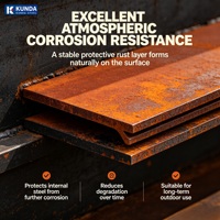Pelat Baja Cuaca Baja Corten Berkarat Besi Ornamen Taman Lain & Fitur Air