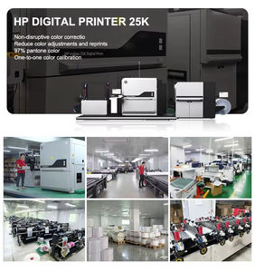 BOYUE Factory 10Kg Sacos para embalagem de alimentos para cães Sacos para comida de cachorro - Product Image 6