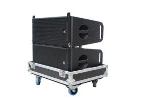 Sistema de Audio Profesional para Exteriores de Doble Línea con Subwoofer de Bajos Profundos en Oferta - Product Image 4