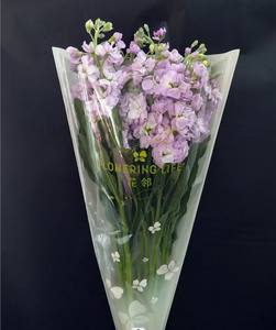 手作りPEコーティングプラスチック製の円錐形バッグ、切り花用フラワー スリーブ - Product Image 1