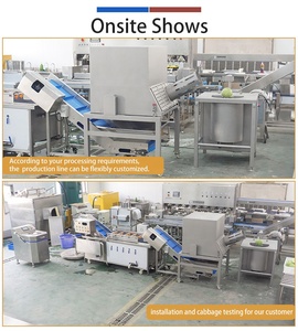 Commercial Cabbage Corer <b>Shredder</b> Washer Dewatering Line 1t/h Cabbage Slaw Production Equipment SUS304 - Product Image 3