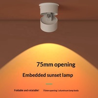 Lumière d'ambiance - Installation lumineuse pour couloir - Projecteur rouge coucher de soleil à fixation au plafond