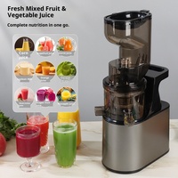 Extracteur de jus électrique transfrontalier 2L, écologique, avec fonction de maintien au chaud, grande ouverture, machine de cuisson, séparation pulpe-jus, usage domestique
