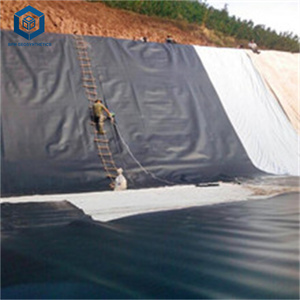 Acuicultura Fish Pond Liner HDPE Geomembrana Precio por metro cuadrado - Product Image 3