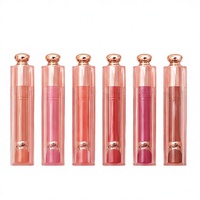 Stick repulpant pour les lèvres minéral naturel longue tenue, taille échantillon, gloss haut de gamme, marque privée avec logo personnalisé pour un look naturel