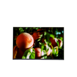 หน้าจอ LCD TFT รุ่น M190PTN01.1 CELL ของแท้ใหม่ ขนาด 19.0 นิ้ว ความละเอียด 1440*900 - Product Image 1