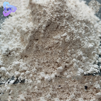 Améliorant Nutritionnel 99% Cas 10045-86-0 Phosphate Ferrique pour Batteries au Lithium Additifs Alimentaires Grade Industriel Catalyseur Haute Efficacité