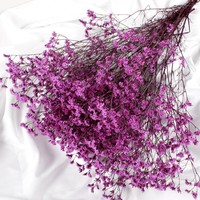 Nouvelles Idées de Produits 2025 : Fleurs Séchées de Limonium en Cristal Préservé Faites à la Main pour la Décoration de la Rentrée Scolaire