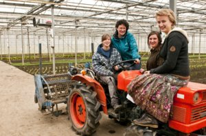 <span class=keywords><strong>Serre</strong></span> en <span class=keywords><strong>verre</strong></span> de type Venlo Skyplant, grande <span class=keywords><strong>serre</strong></span> agricole en <span class=keywords><strong>verre</strong></span>, utilisée pour la reproduction de semences/l'exposition/le restaurant éco-responsable - Product Image 5