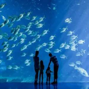 โปรเจคเตอร์ฉายภาพโฮโลแกรมเสมือนจริง 4K สำหรับพื้นโรงละคร สร้างภาพชายหาดเสมือนจริง พร้อมระบบฉายภาพ 3 มิติแบบไดนามิก ใช้หลอดไฟ LED พร้อมกระเป๋าอุปกรณ์เสริม - Product Image 1