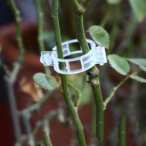 Clip de fixation pour plantes DaringFish, clip de croissance, dispositif de suspension, clip de greffage pour tomates, vignes de concombres, clip de liaison - Product Image 5