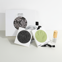 Diffuseur d'arômes suspendu personnalisé en pierre, diffuseur artisanal en plâtre, désodorisant d'huiles essentielles pour voiture et maison, vente en gros