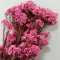 Ge conserveerde Milletbloem (absorptiegeverfd) Yunnan oorsprong 60-70cm voor Moederdag, Thanksgiving & Chinees Nieuwjaar decoratie