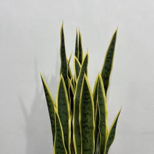 Plante Artificielle de Luxe pour Décoration Intérieure et Extérieure – Idéale pour la Maison - Product Image 3