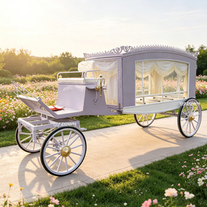Carro Fúnebre Eléctrico Personalizable y Práctico con Estructura de Funcionamiento Suave para Instituciones Funerarias, Transporte de Ataúdes y Ceremonias - Product Image 1