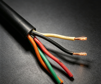 Pour l'éclairage extérieur industriel des pelouses et des paysages, câble flexible résistant aux intempéries SJOOW SOOW 4x16AWG PE/CPE Caoutchouc 300/600V