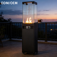 Chauffe-terrasse extérieur autonome en acier à gaz avec roues, alimenté au butane, moderne, pour jardin et camping