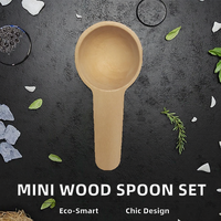 Cuillère en bois ronde miniature moderne et écologique de 2 ml, 5 ml, 10 ml pour la crème glacée, le miel, le lait en poudre