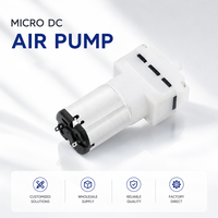 Pompe à air micro-diaphragme OEM personnalisée à faible bruit DC 3V 5V 12V 24V pour instrument médical et esthétique portable