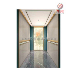 Gse Thang Máy Thương Hiệu Chất Lượng Tốt Nhất Giá Rẻ Giá 10 Hành Khách Thang Máy 1000Kg Thang Máy 1000Kg Thang Máy Cho Căn Hộ Xây Dựng Sử Dụng Thang Máy - Product Image 3