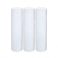 Film TPU Écologique Ignifuge Haute Élasticité Résistant aux Hautes Températures Transparent Qualité Moulage par Soufflage Forme Personnalisée