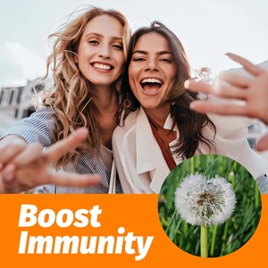 Té de Hoja y Raíz de Diente de León de Buena Calidad, Ayuda a Desintoxicar y Relajar el Cuerpo, Promueve la Salud Física y Mental, Sin OMG, 40 Bolsitas de Té - Product Image 3