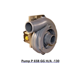 Bomba de Agua Industrial Perfecta de 0.7 Kw para Modernización y Mejora - Product Image 2