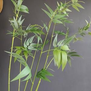 Faux tige <span class=keywords><strong>de</strong></span> bambou artificielle, branche <span class=keywords><strong>de</strong></span> feuille <span class=keywords><strong>de</strong></span> bambou artificielle, tiges <span class=keywords><strong>de</strong></span> <span class=keywords><strong>verdure</strong></span> artificielle pour remplissage <span class=keywords><strong>de</strong></span> vase, décoration <span class=keywords><strong>de</strong></span> maison, bureau et style zen - Product Image 3
